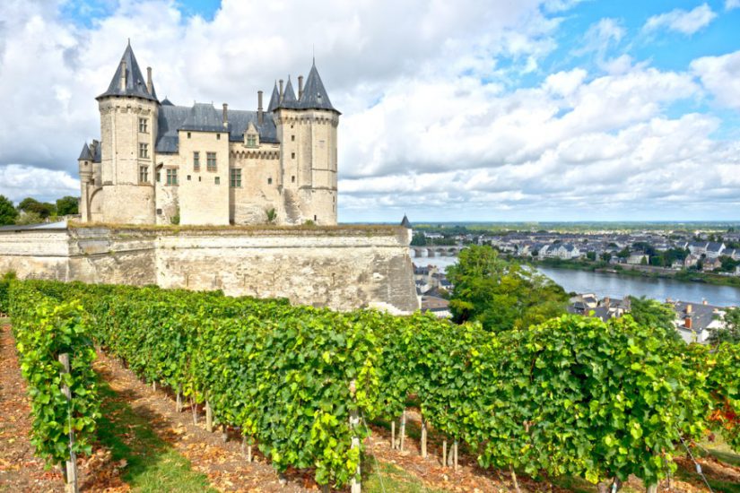 Loire-Valley-Vineyards Loire-Valley-Vineyards