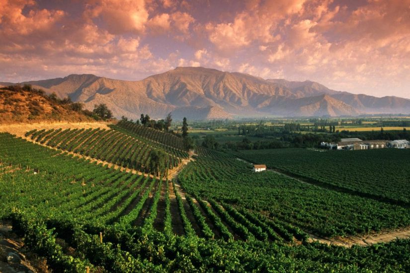 rolling-chilean-winelands-xlarge rolling-chilean-winelands-xlarge