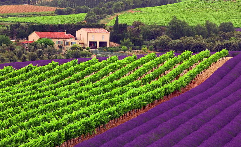 provence provence