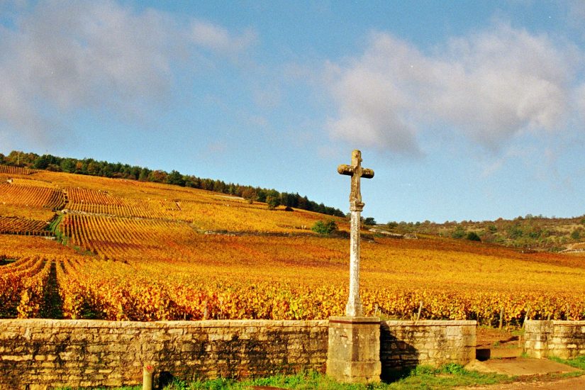 burgundia