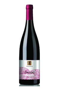 Thesaurus Amadoc Pinot Noir
