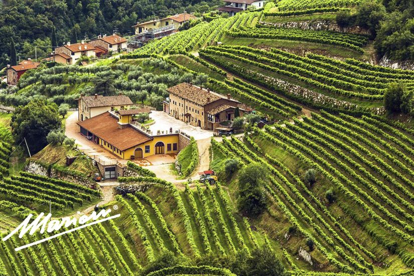 valpolicella_marion