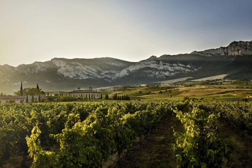 rioja_vineyards rioja_vineyards