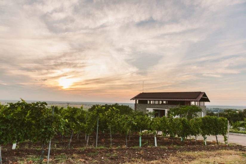 Thesaurus_prezentare Thesaurus_prezentare