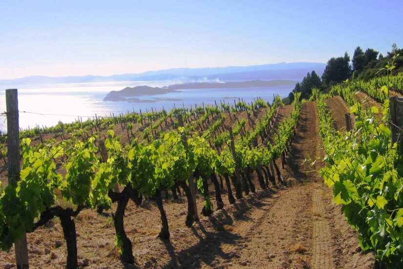 Greek-Wines-