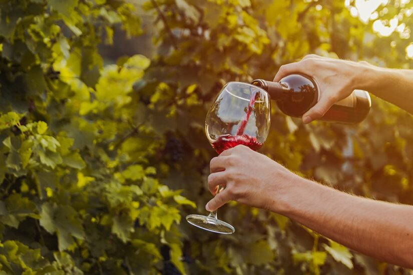 bordeaux_wines