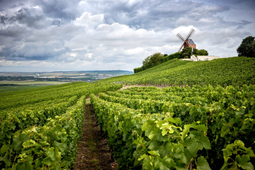champagne_vineyards champagne_vineyards